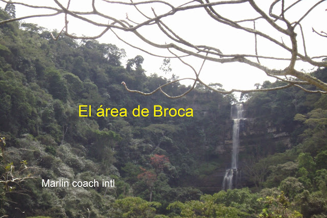 cascada en una montaña