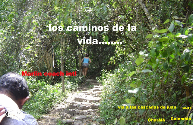 mujer caminando por la maleza