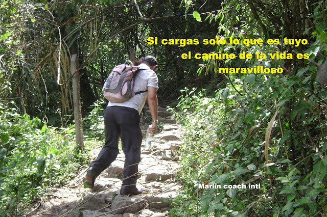 hombre caminando por la maleza