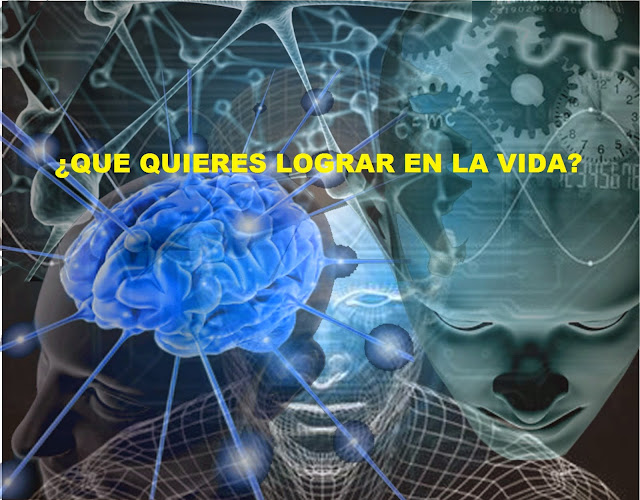 cerebro