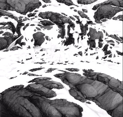 ilusión óptica de un paisaje frio con vacas