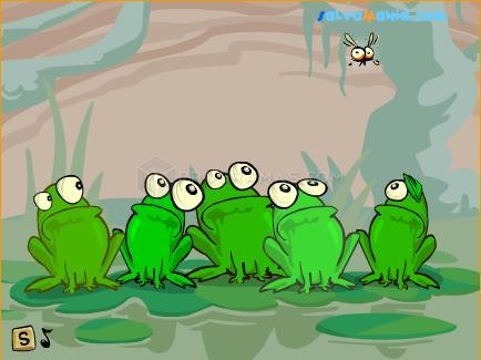 ranas observando una mosca